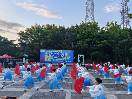 的载体, https